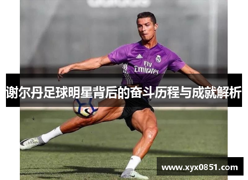 谢尔丹足球明星背后的奋斗历程与成就解析